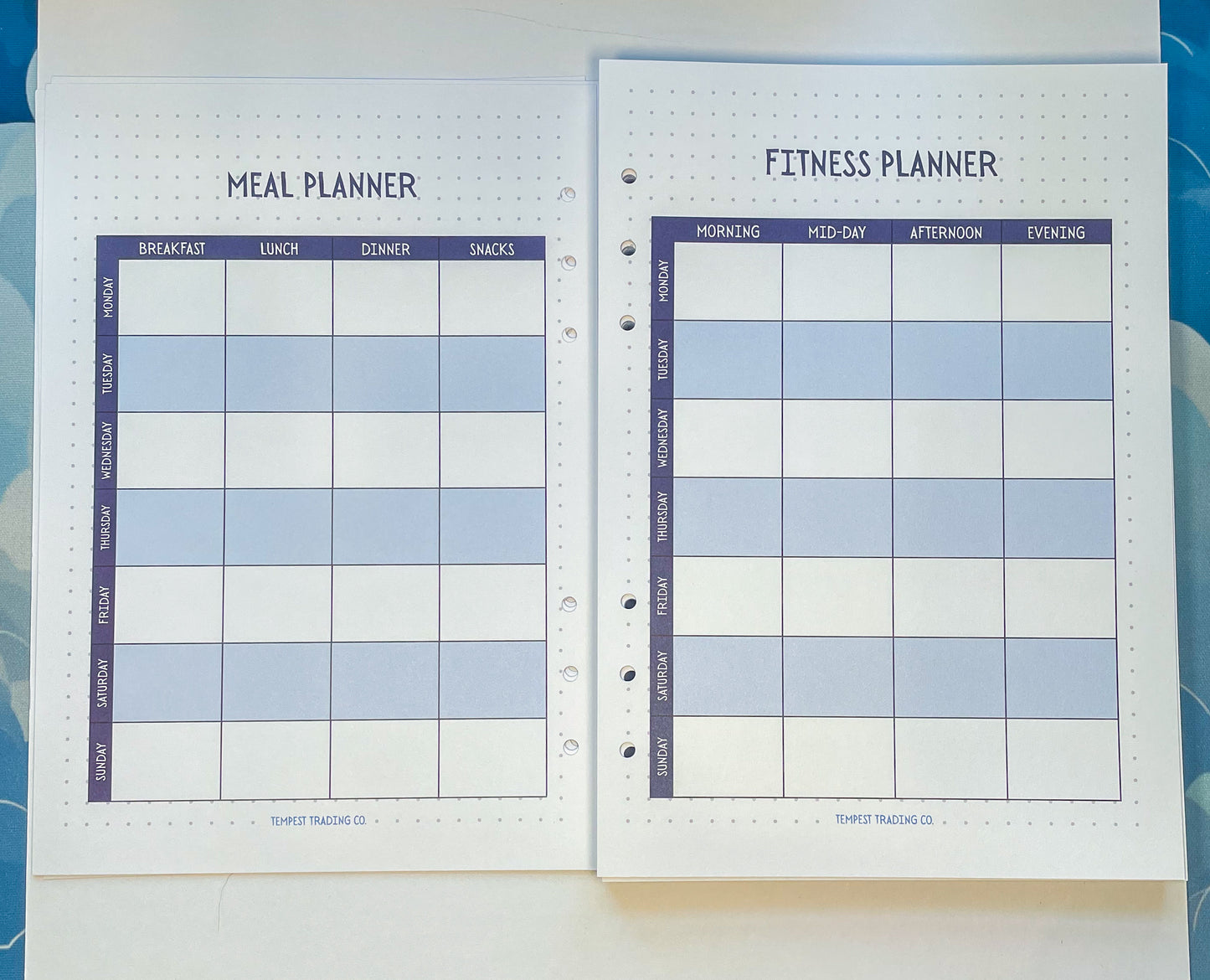 Captain’s Log Planner